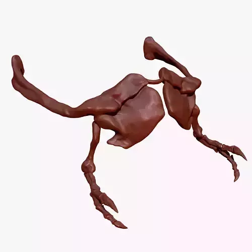 TRex Arm Set Skeletons 3D model