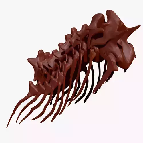 TRex Neck Set Skeletons 3D model