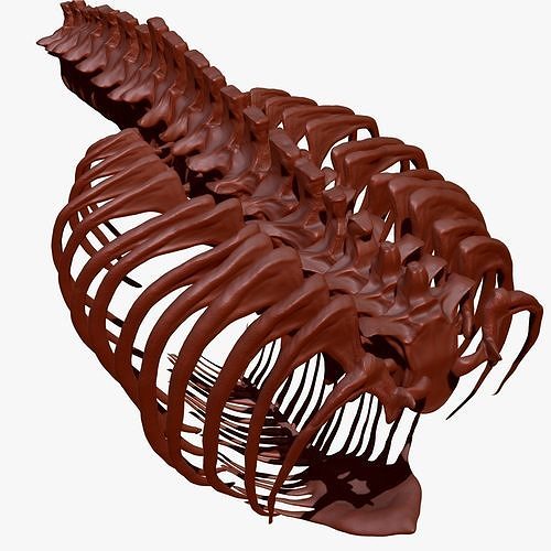 TRex Spine Rib Set Skeletons 3D model