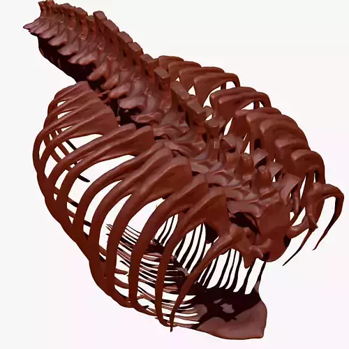 Dinosaur TRex Spine Rib Set Skeletons