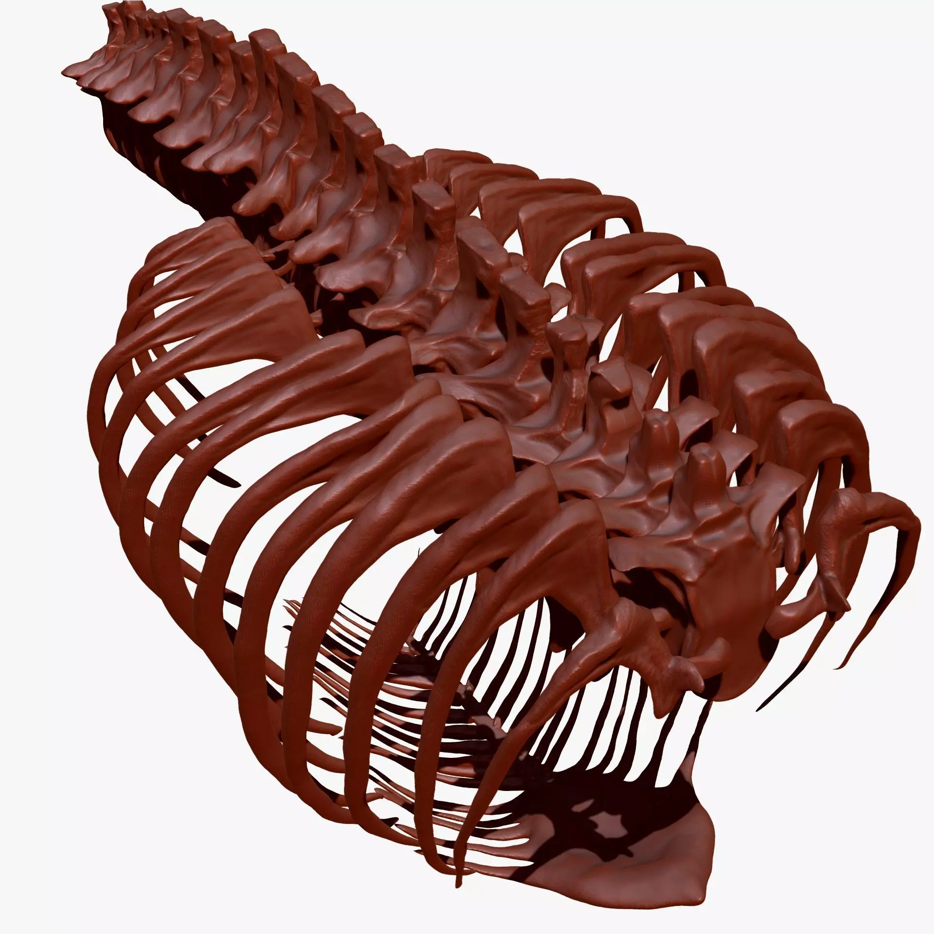 Dinosaur TRex Spine Rib Set Skeletons 3D model_0