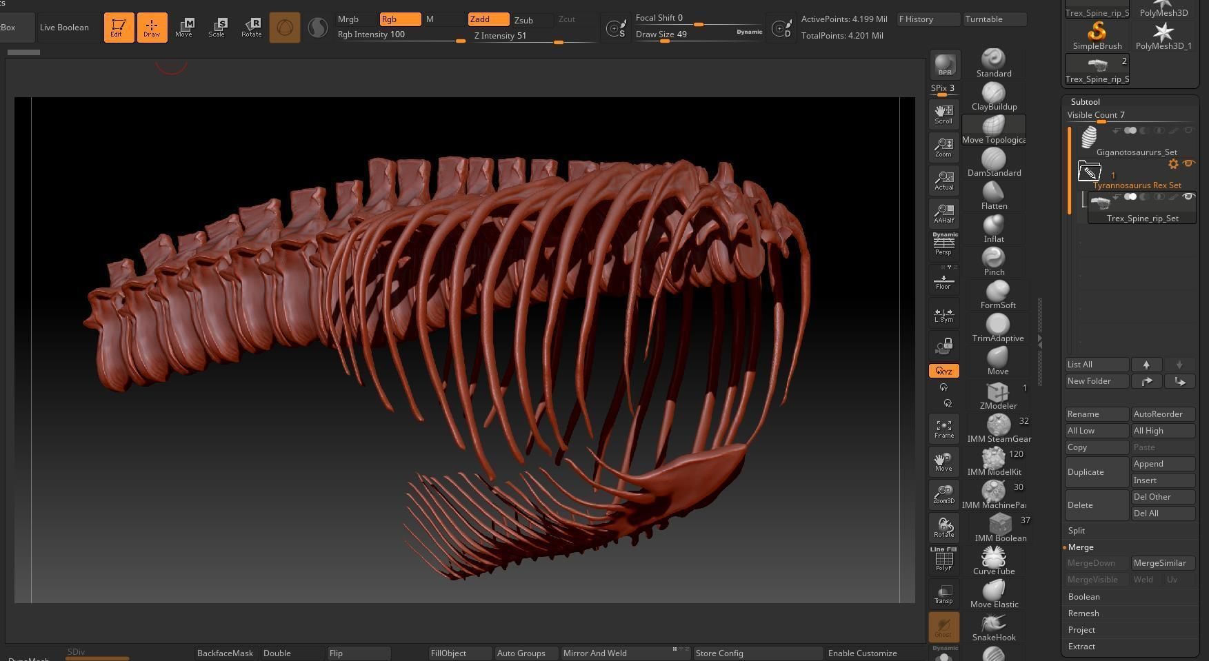 Dinosaur TRex Spine Rib Set Skeletons 3D model_6
