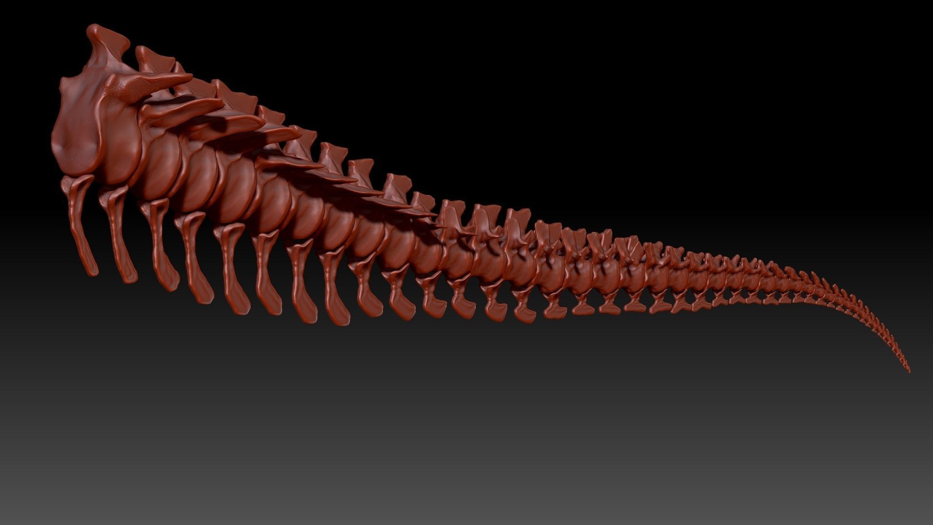 TRex Tail Set Skeletons 3D model_4