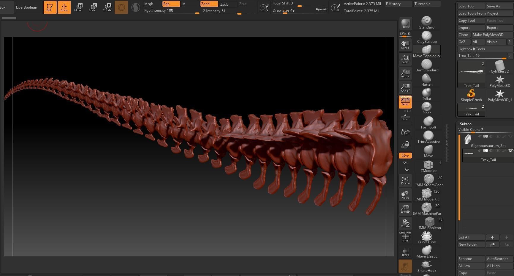 TRex Tail Set Skeletons 3D model_5