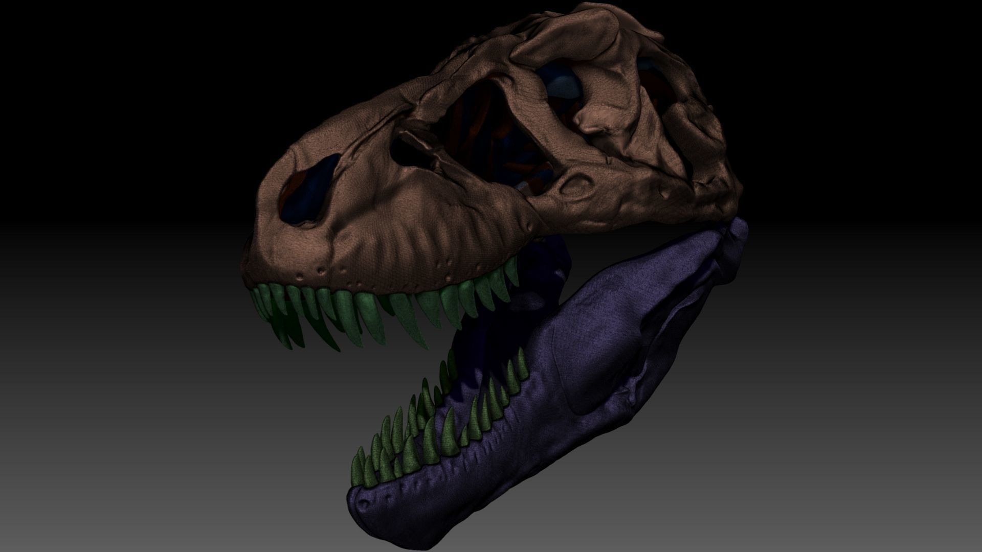 Dinosaur Tyrannosaurus Rex SUE Skull Set 3D model_6