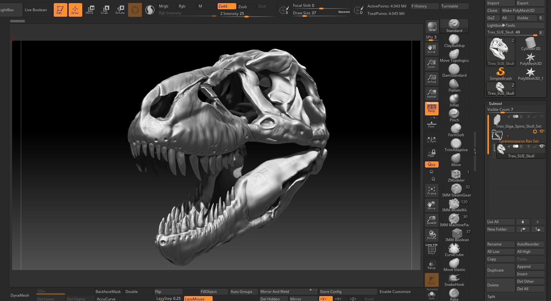 Dinosaur Tyrannosaurus Rex SUE Skull Set 3D model_7