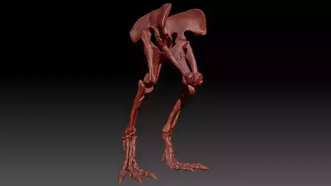 Dinosaur Spinosaurus Hip-Leg Skeletons Set