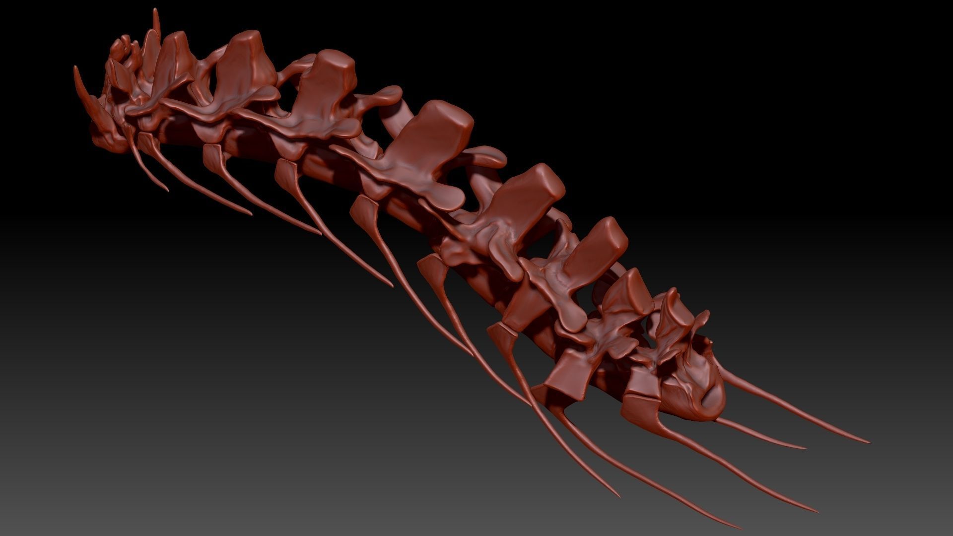 Spinosaurus Neck Skeletons Set 3D model_4