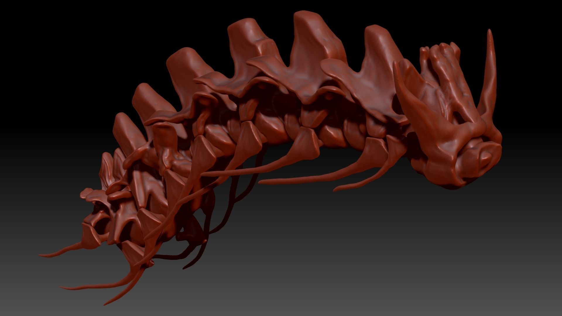 Spinosaurus Neck Skeletons Set 3D model_6