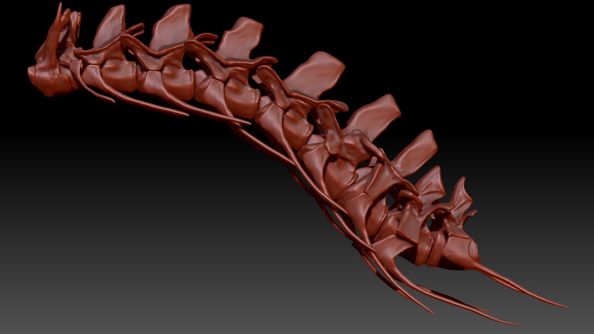 Spinosaurus Neck Skeletons Set 3D model_2