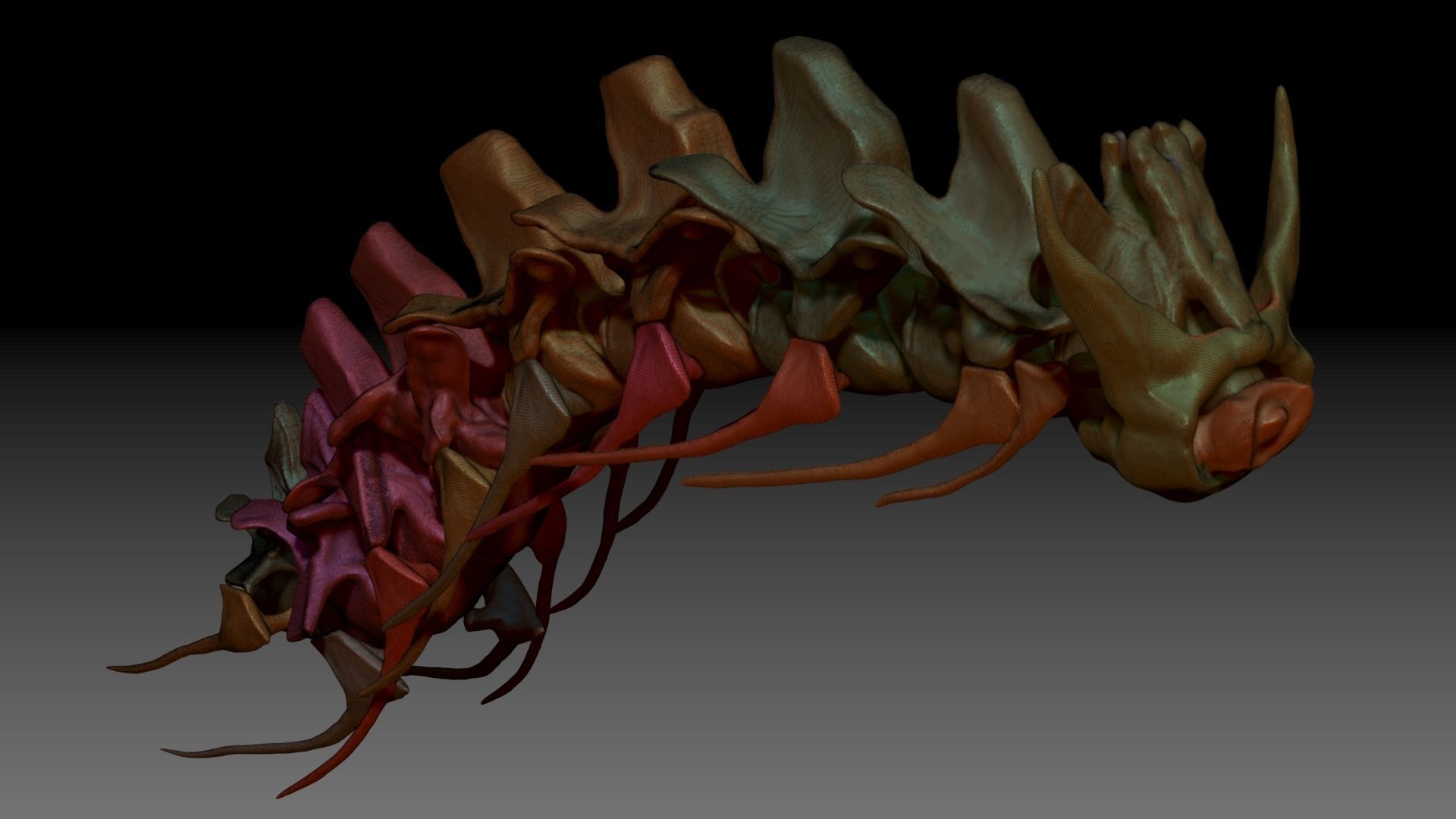 Spinosaurus Neck Skeletons Set 3D model_7