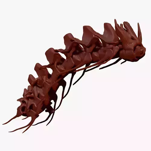 Spinosaurus Neck Skeletons Set