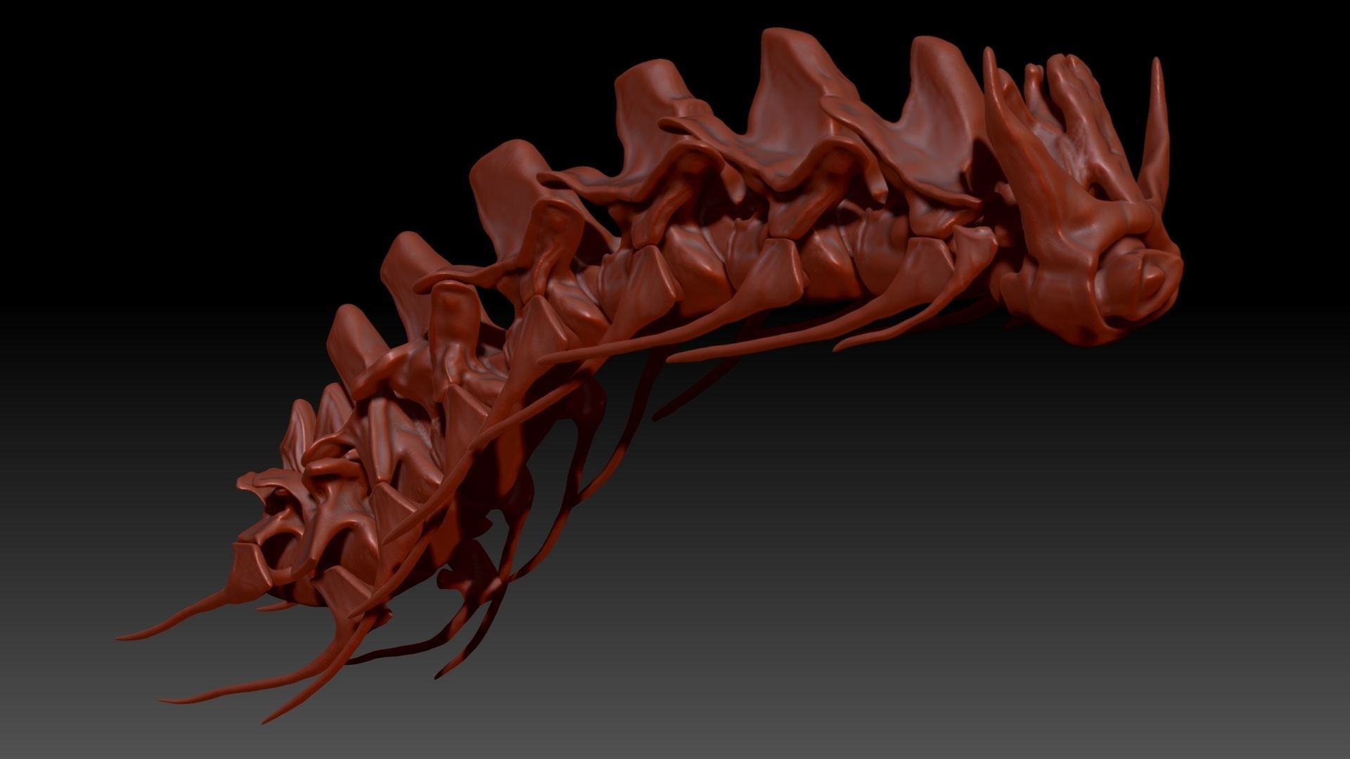 Spinosaurus Neck Skeletons Set 3D model_1