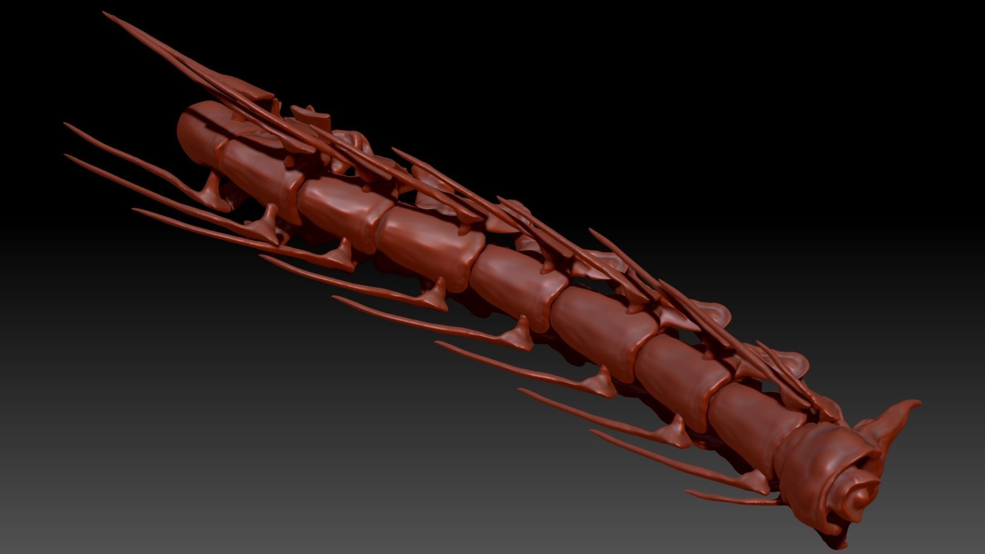 Spinosaurus Neck Skeletons Set 3D model_5
