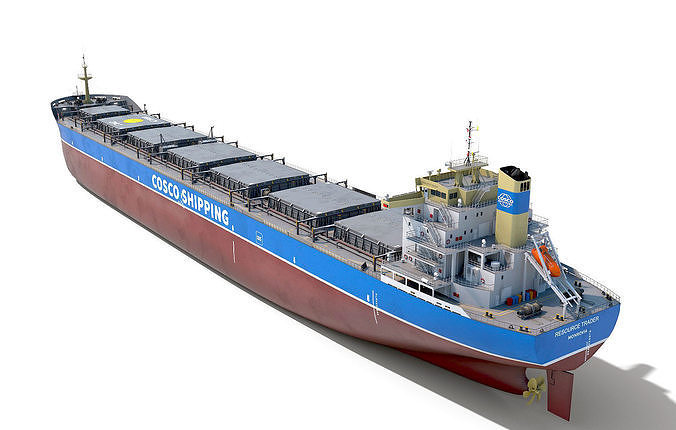Bulk carrier COSCO with holds and reservoirs 3D model