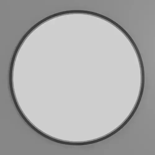 Round Mirror Free