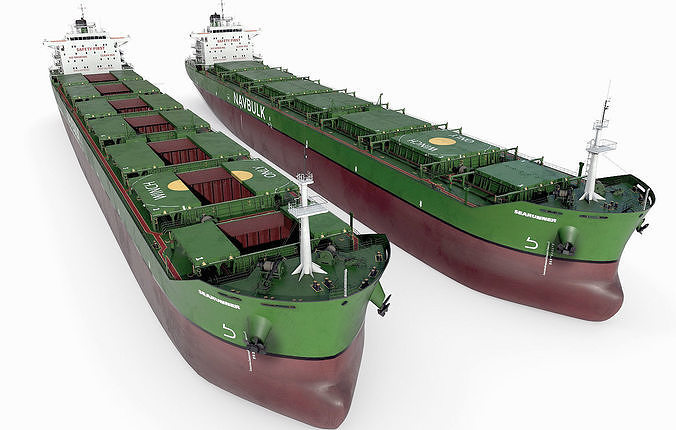 Bulk carrier with holds and reservoirs 3D model