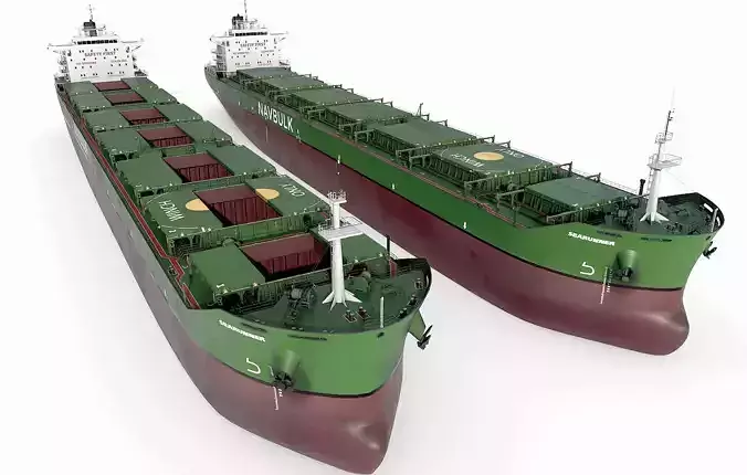 Bulk carrier with holds and reservoirs 3D model