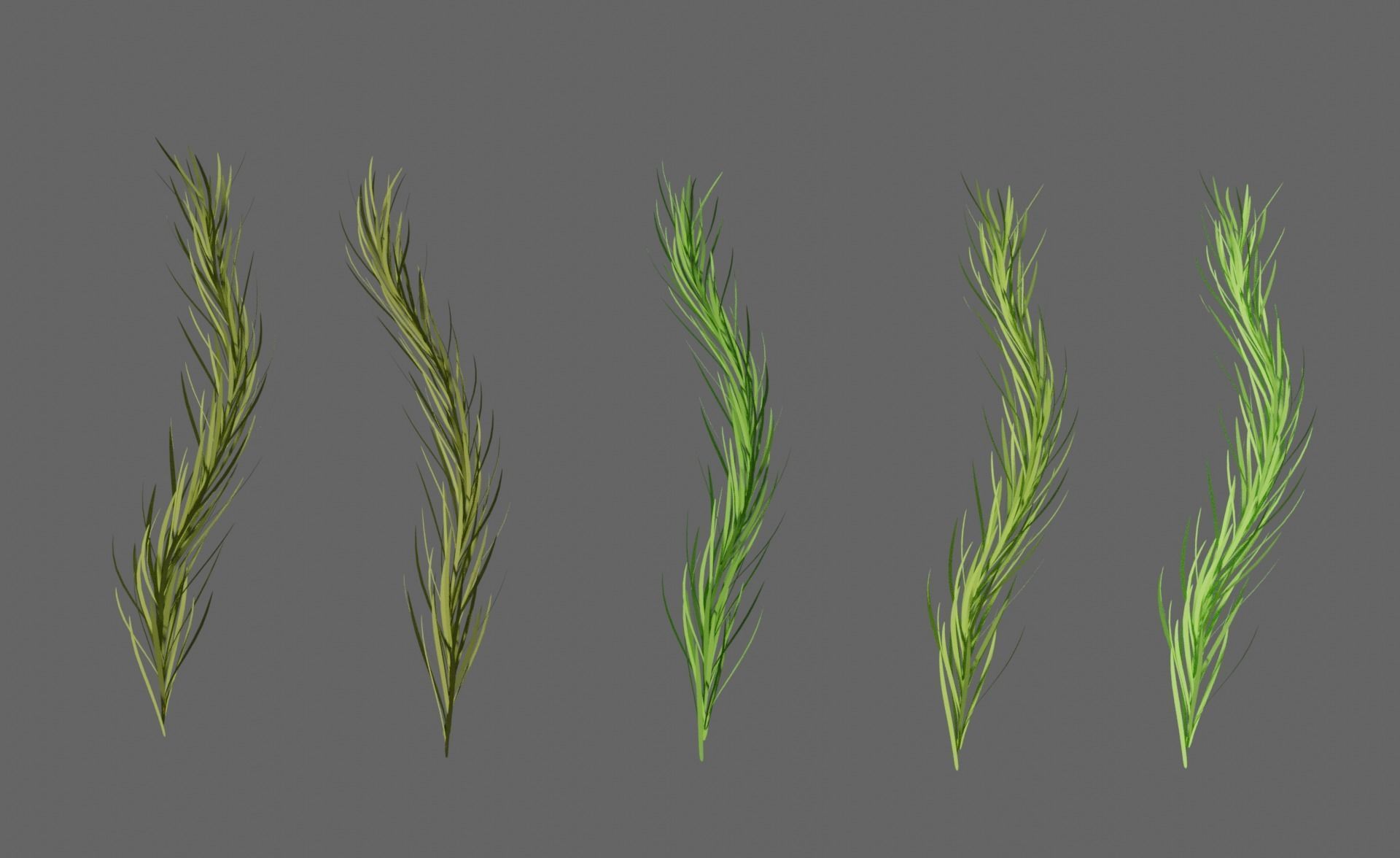 FOREST MOSS 3D model_3