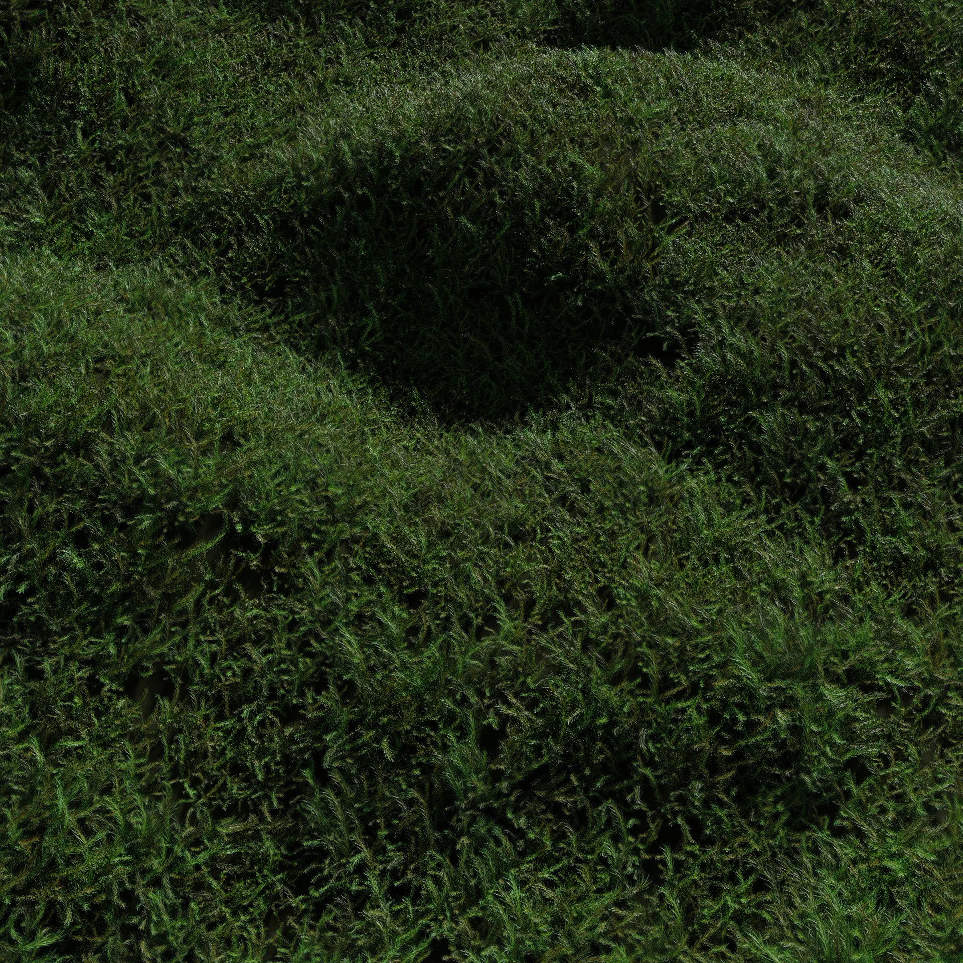 FOREST MOSS 3D model_0
