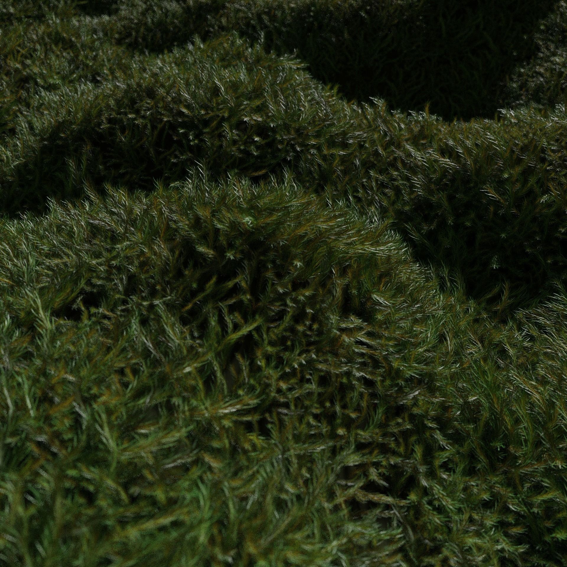 FOREST MOSS 3D model_2