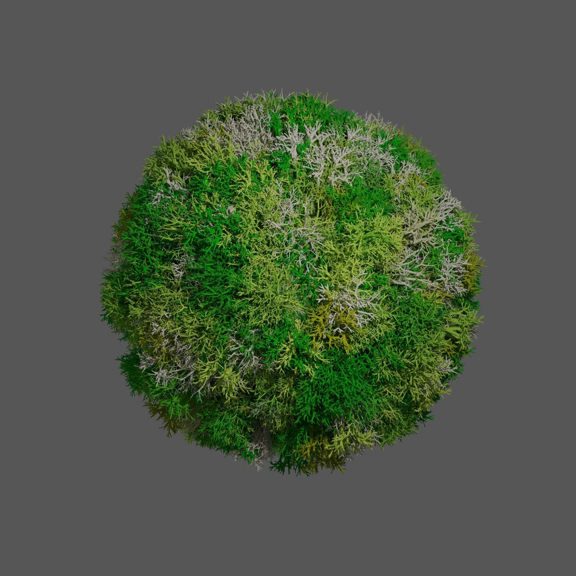 moss deer 3D model_3