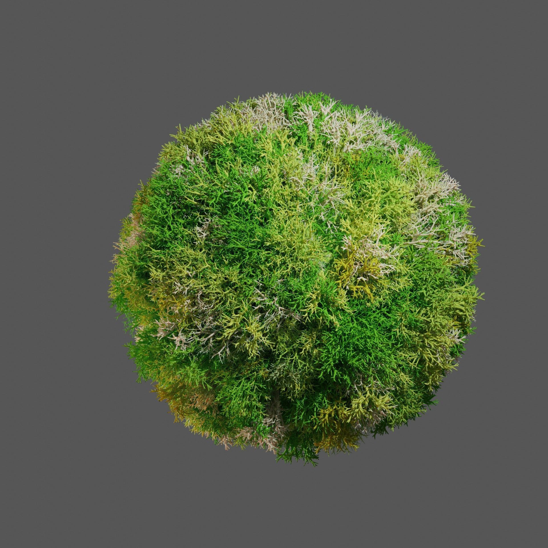 moss deer 3D model_4