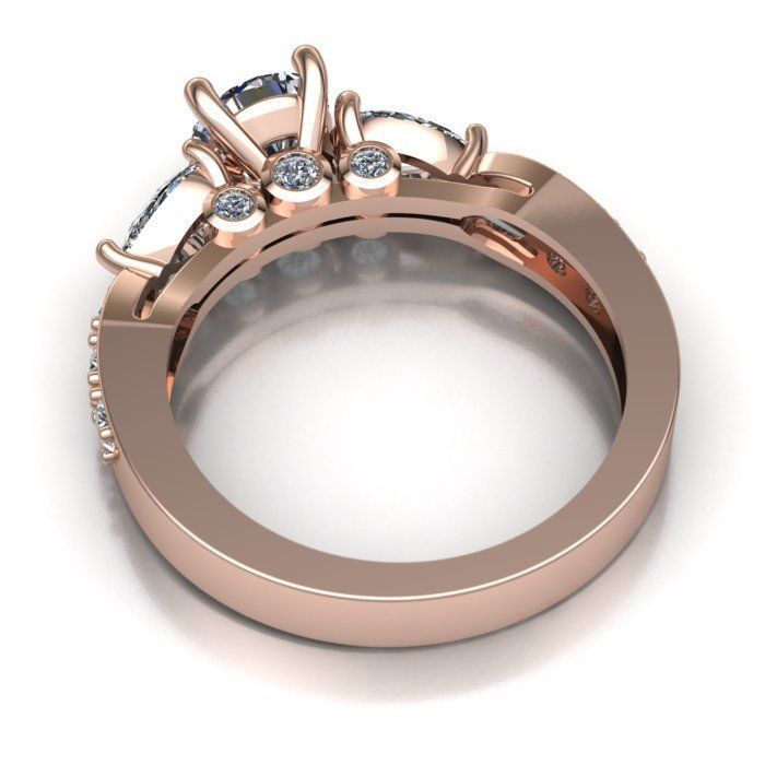 RING MODEL 494 3D print model_2