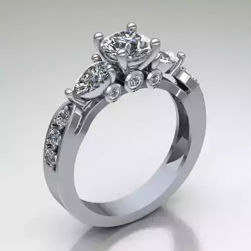RING MODEL 494 3D print model