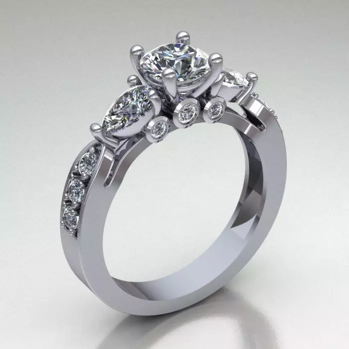 RING MODEL 494 3D print model_0