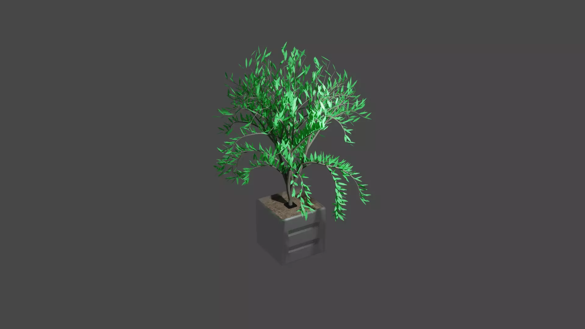 plants 10 NEW YEAR SALE Free 3D model