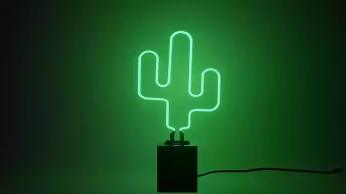 Neon Cactus Lamp 3D model