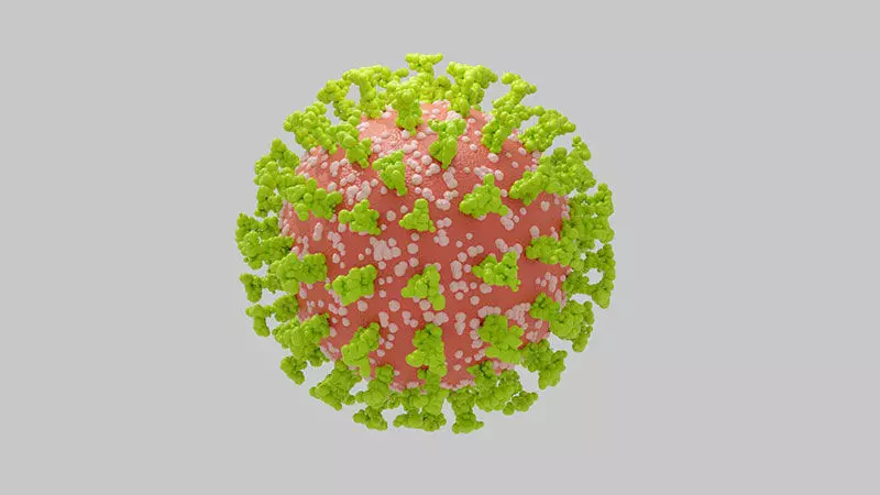 CoronaVirus Medical Pandemia Covid-19  3D model_0