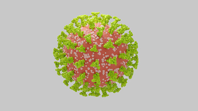 CoronaVirus Medical Pandemia Covid-19  3D model