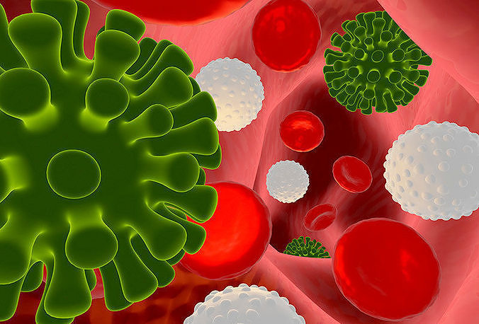 Covid-19 with blood cells in tube blood 3D model