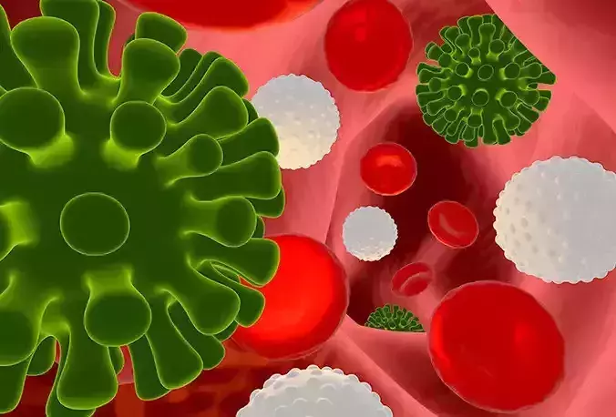 Covid-19 with blood cells in tube blood 3D model