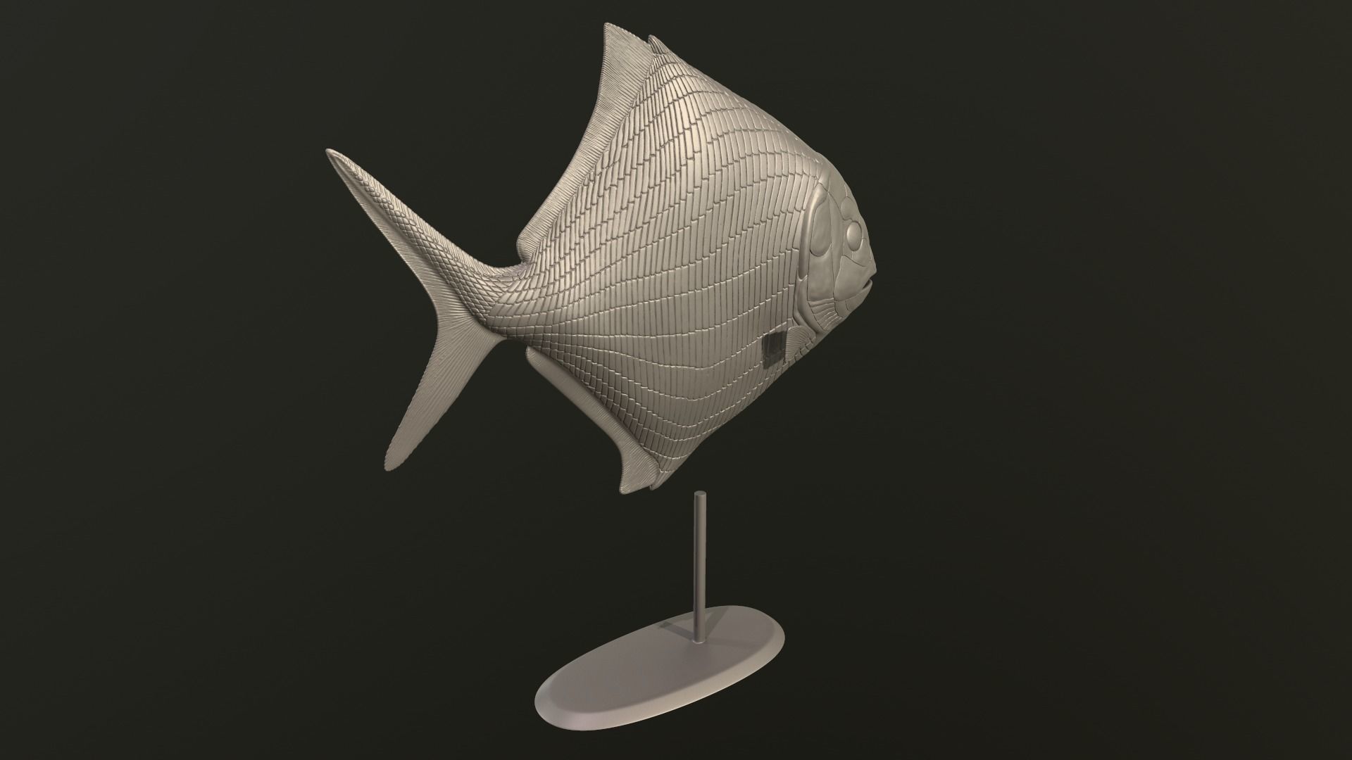 Cheirodus fish 3D print model_5