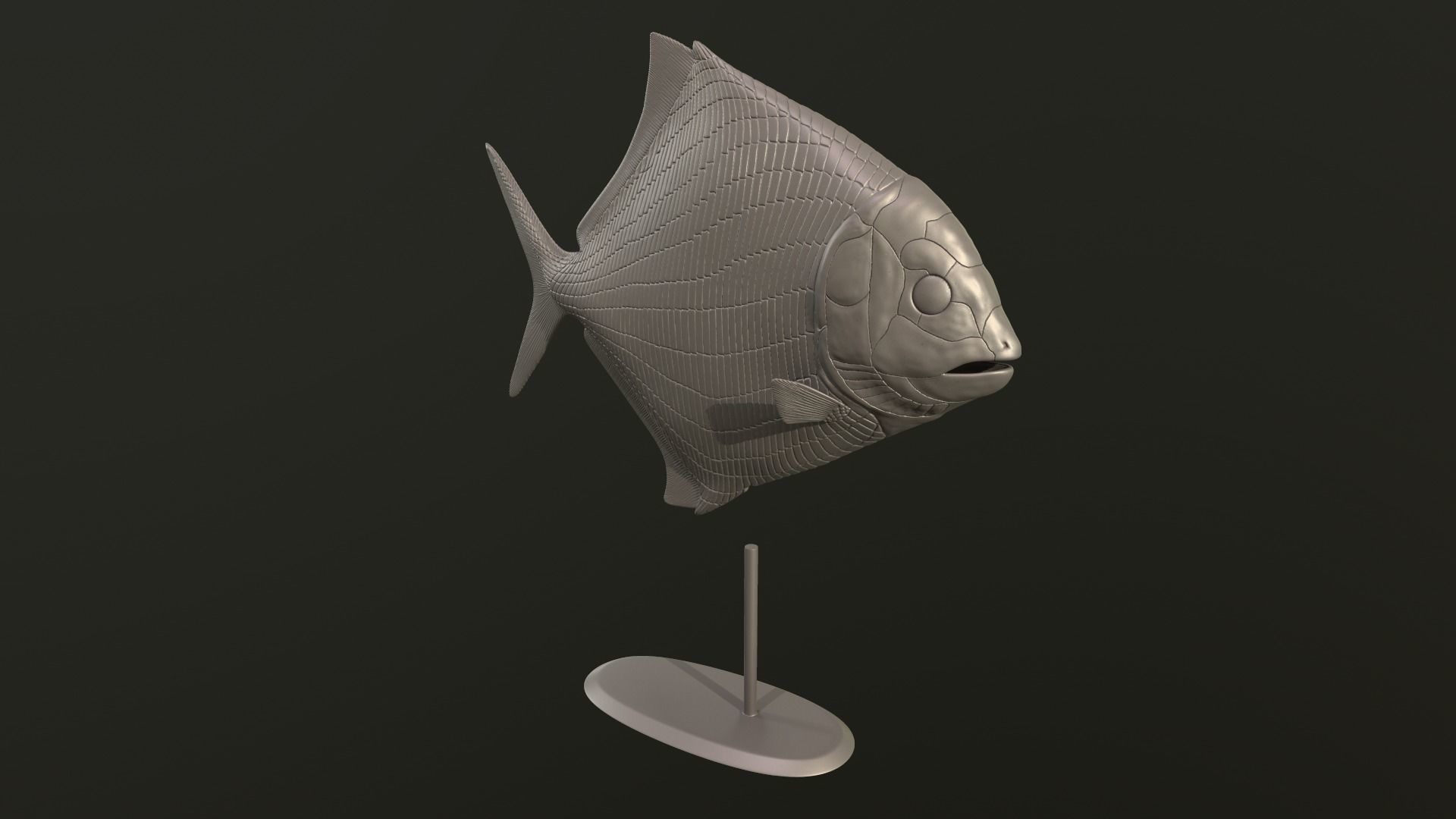 Cheirodus fish 3D print model_4