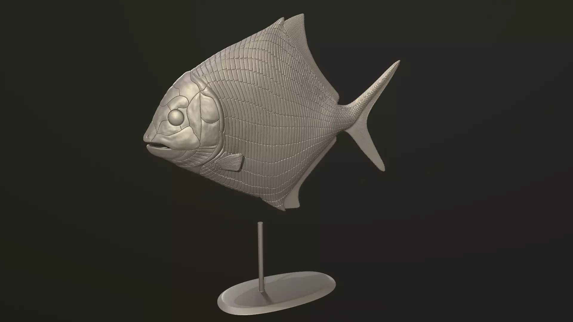 Cheirodus fish 3D print model_0