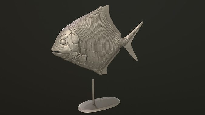 Cheirodus fish 3D print model