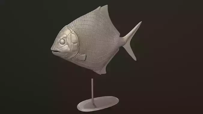 Cheirodus fish