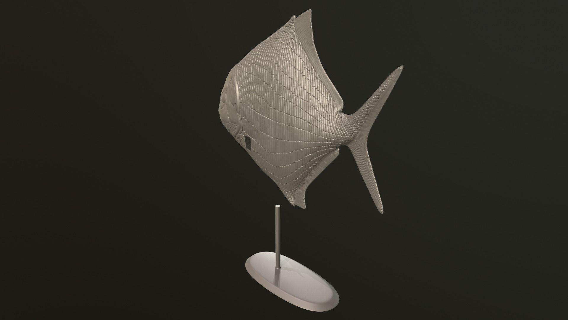 Cheirodus fish 3D print model_6