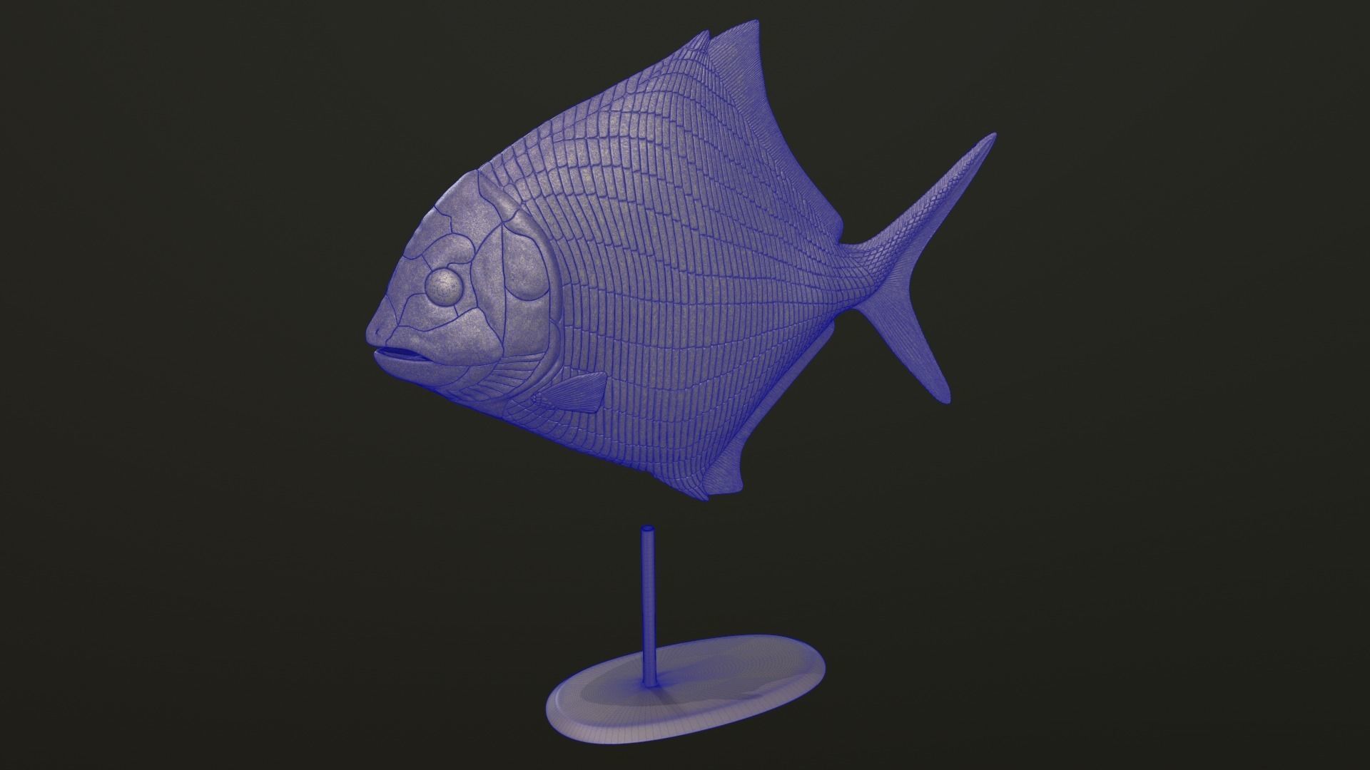 Cheirodus fish 3D print model_8