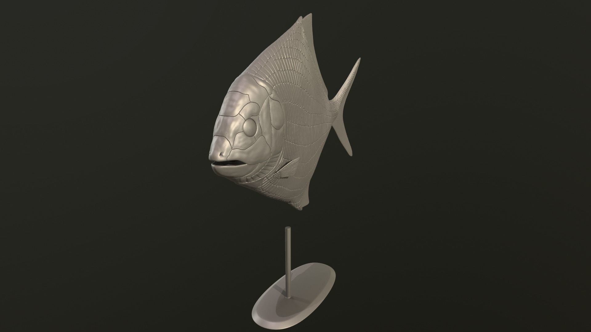 Cheirodus fish 3D print model_3