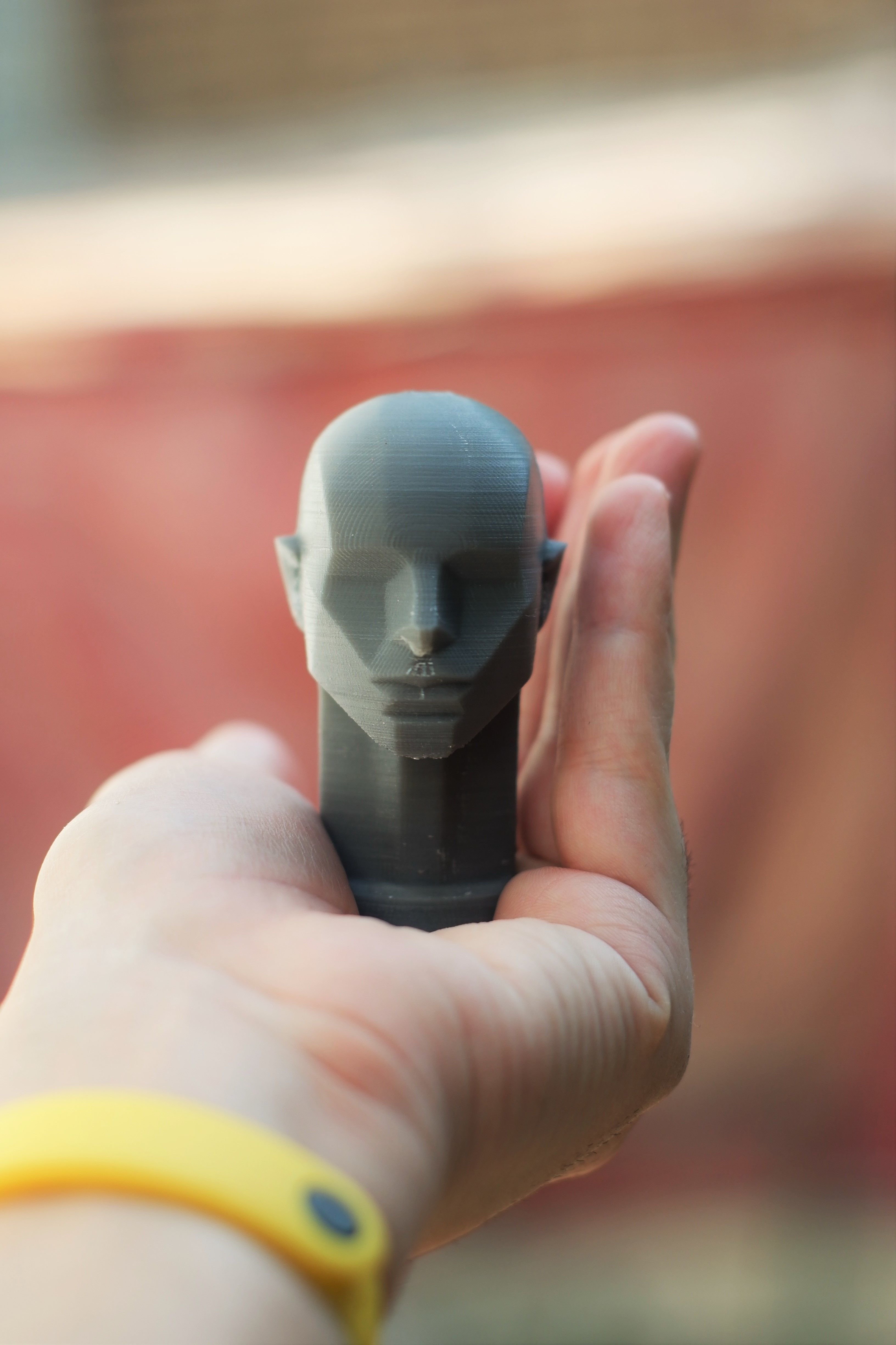 Memorized Head - John Asaro 3D model_5