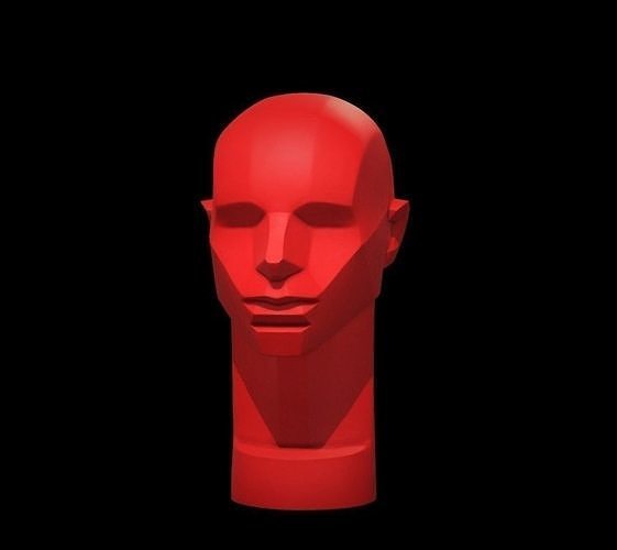 Memorized Head - John Asaro 3D model