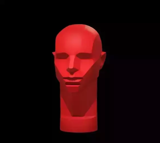 Memorized Head - John Asaro 3D model