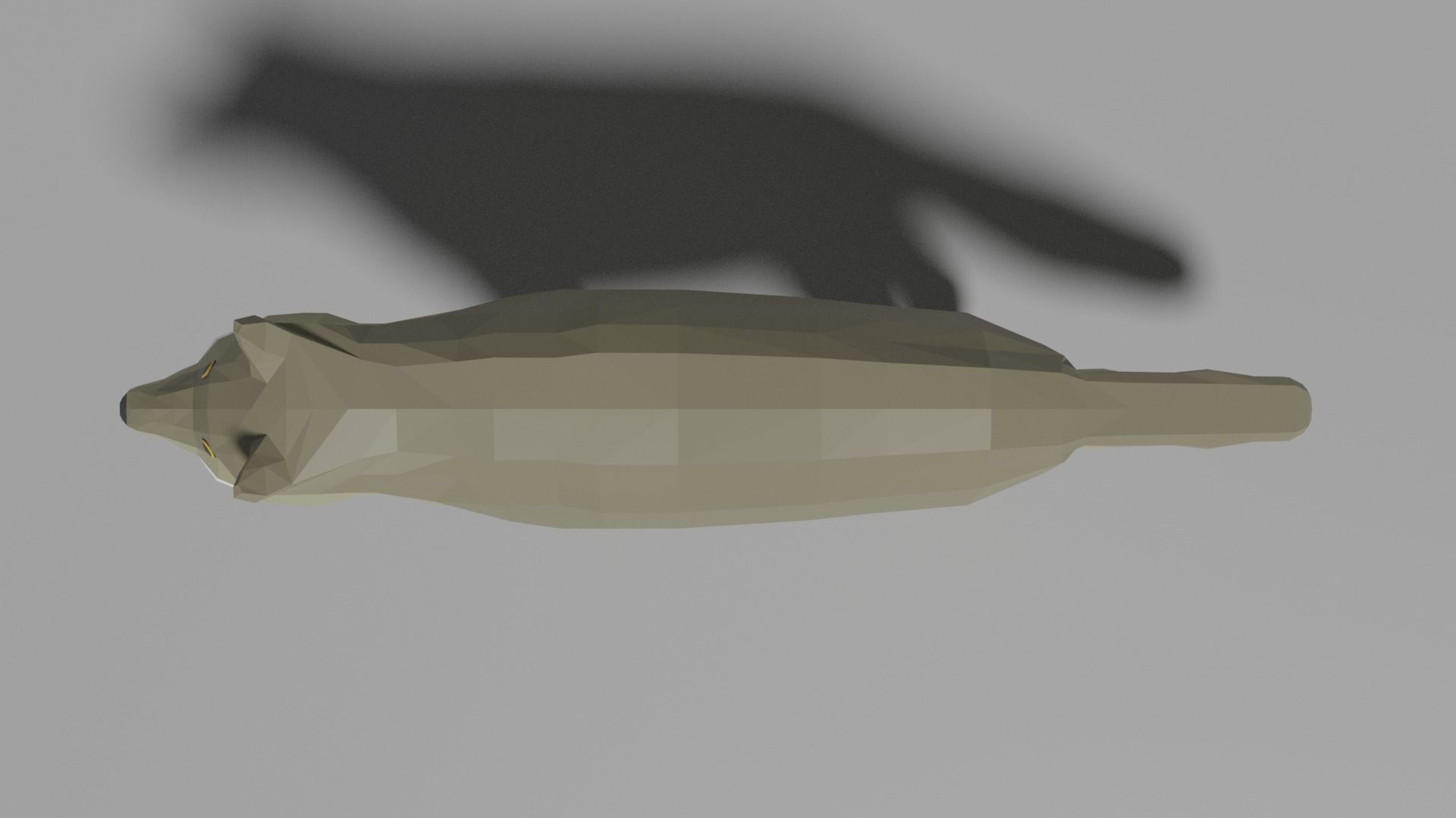 Cartoon Wolf Family  Low-poly 3D model_4