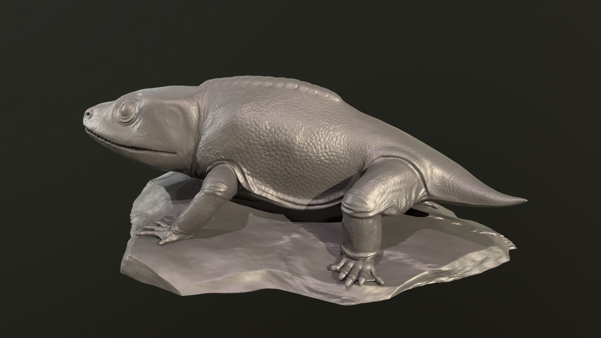 Cacops aspidephorus 3D print model_7