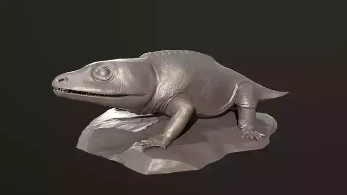 Cacops aspidephorus 3D print model
